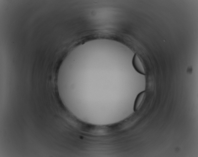 X0000095530514200712140937