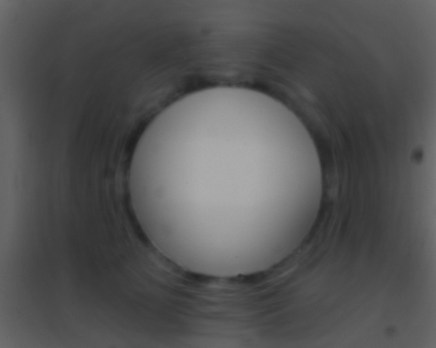 X0000095530515200712140937