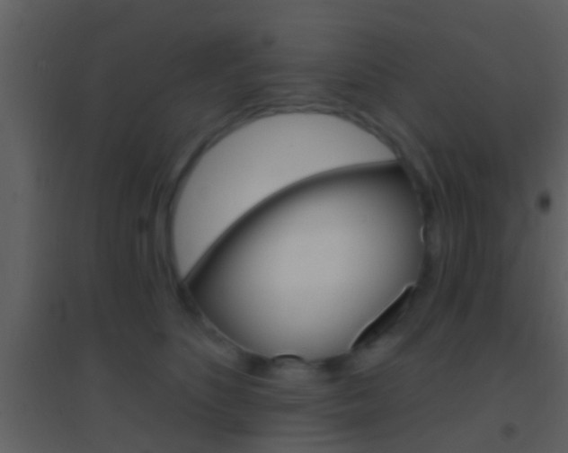 X0000095530516200712140937