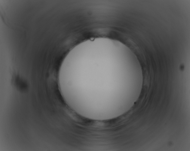 X0000095530518200712140937