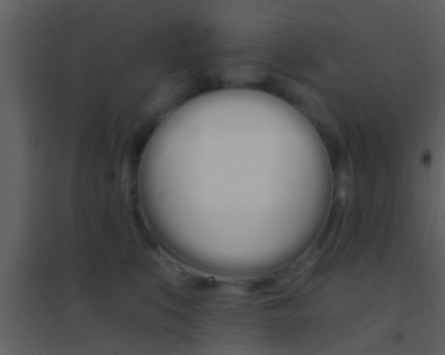 X0000095530519200712140937