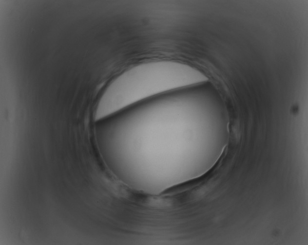 X0000095530520200712140937