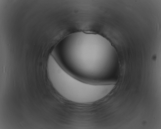 X0000095530521200712140937