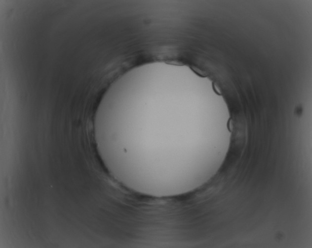 X0000095530523200712140937