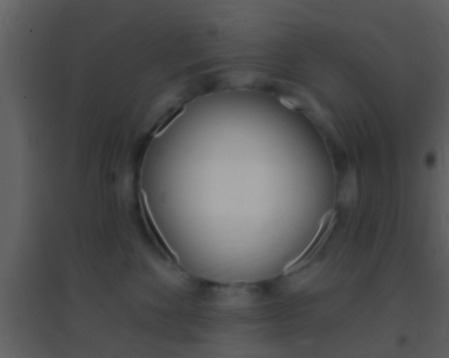 X0000095530524200712140937