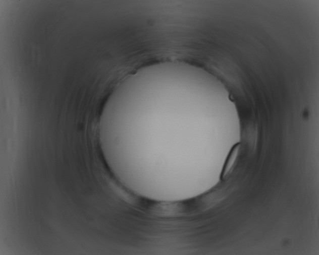 X0000095530526200712140937