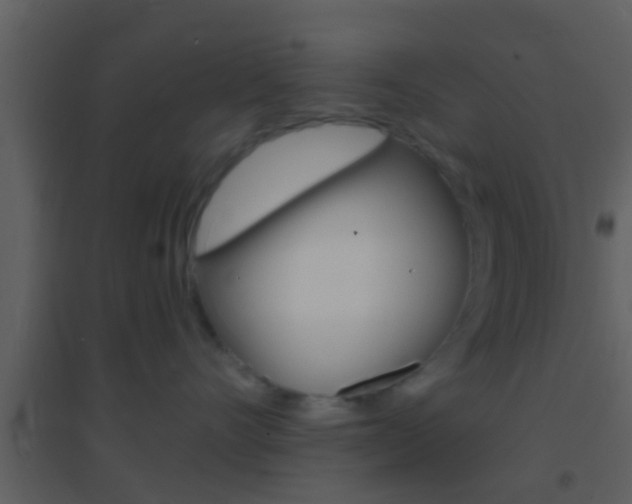 X0000095530528200712140937