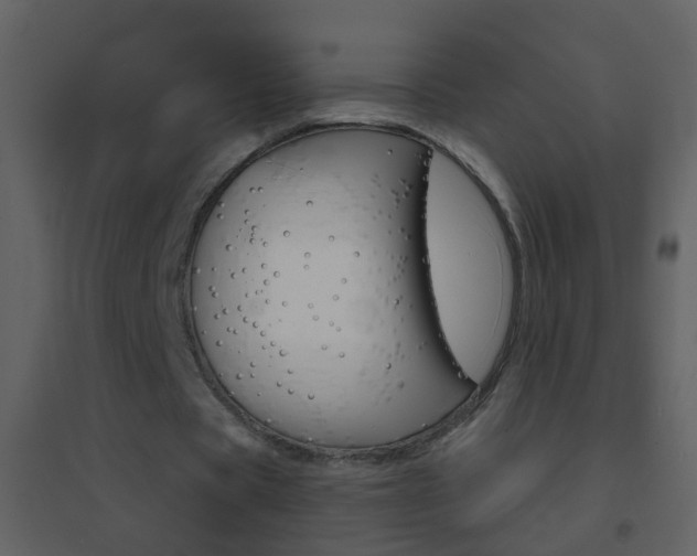 X0000095530529200712140936