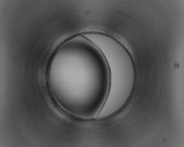 X0000095530530200712140936