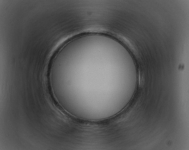 X0000095530531200712140936