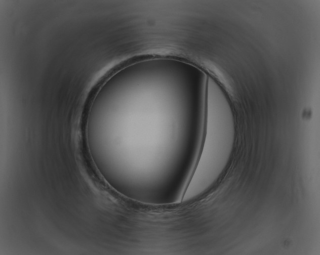 X0000095530532200712140936