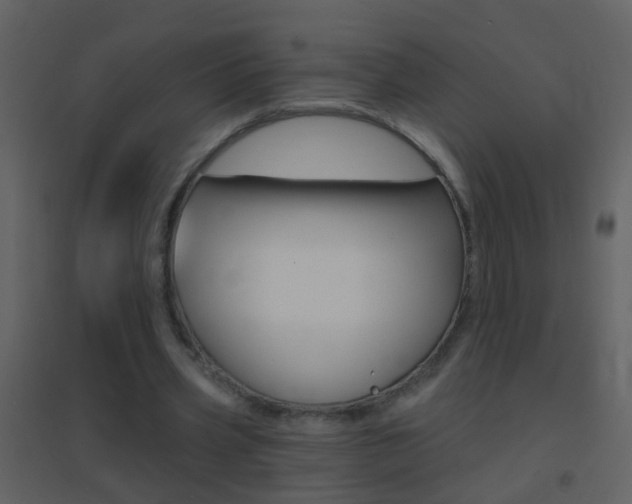 X0000095530533200712140936