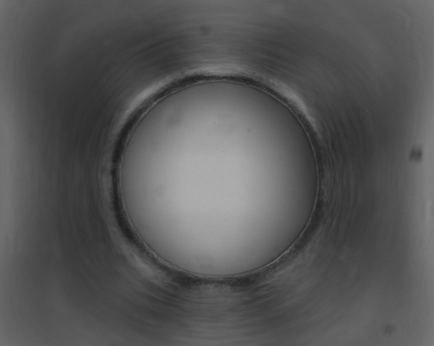 X0000095530535200712140936