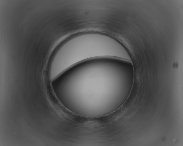X0000095530536200712140936