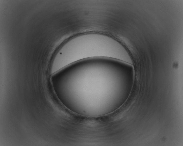 X0000095530540200712140936