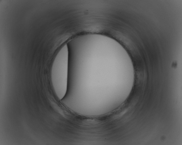 X0000095530541200712140936