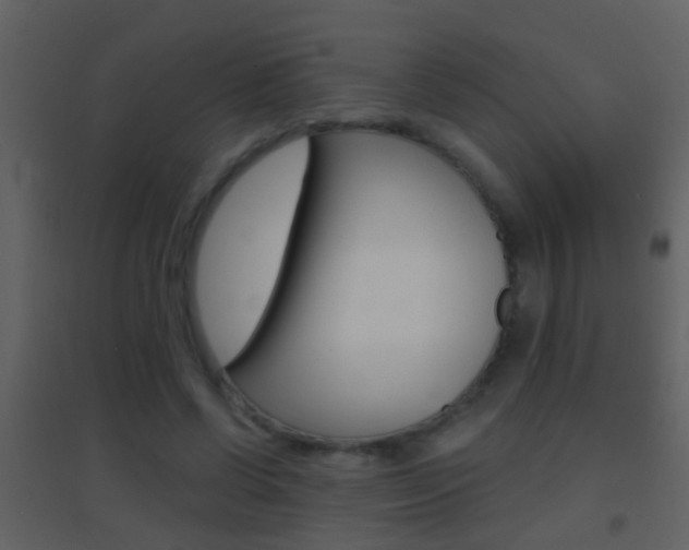 X0000095530542200712140936