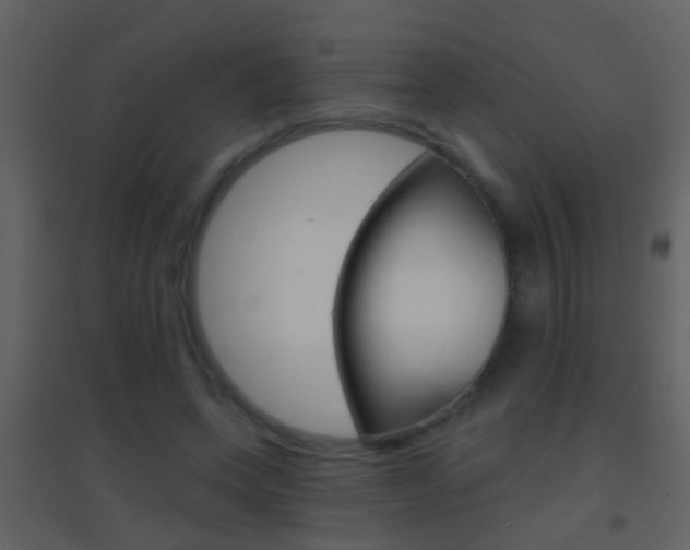X0000095530543200712140936