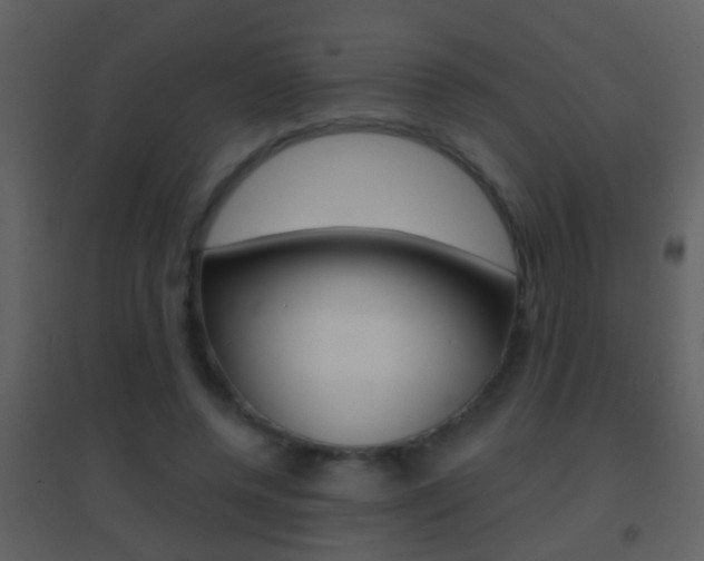 X0000095530544200712140936