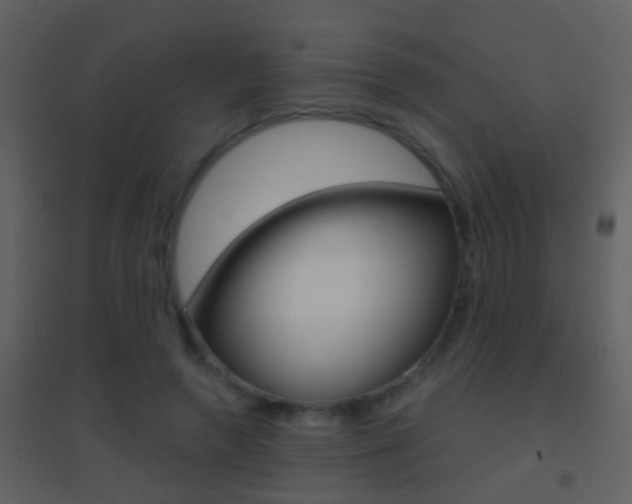 X0000095530546200712140936