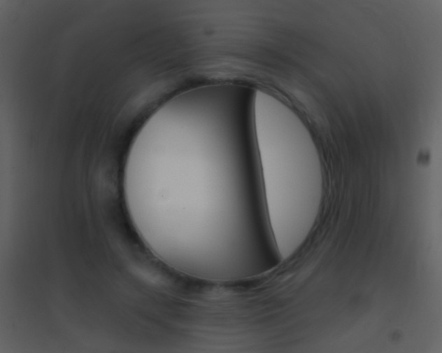 X0000095530547200712140936