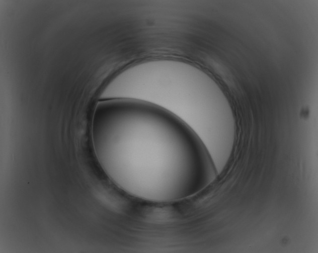 X0000095530548200712140936