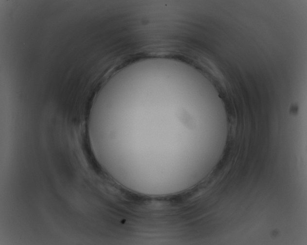 X0000095530549200712140936