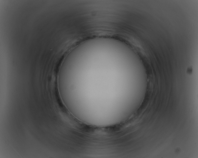 X0000095530550200712140936