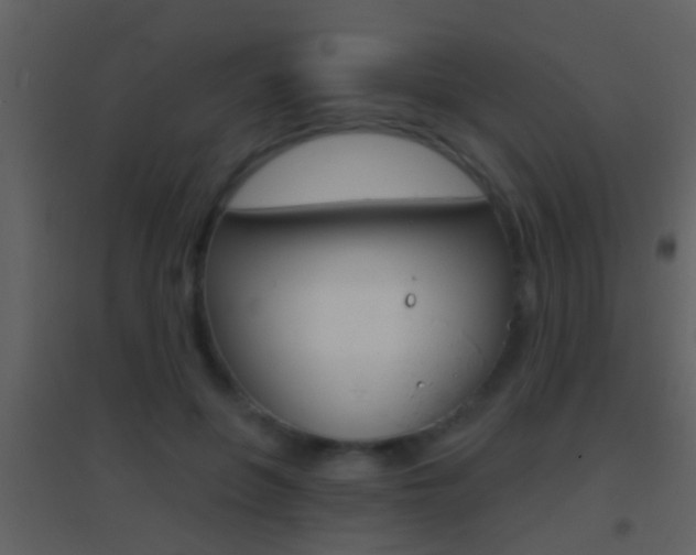 X0000095530551200712140936