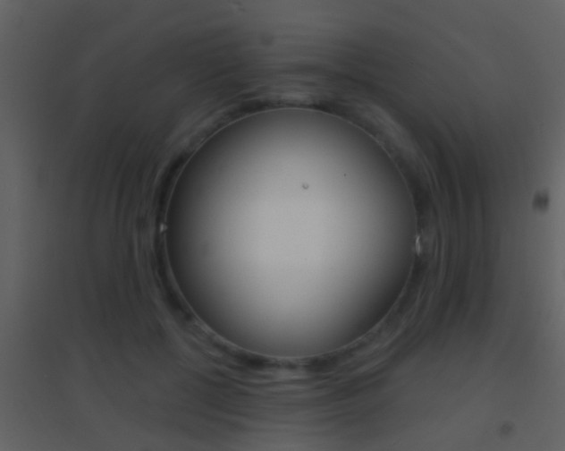 X0000095530552200712140936