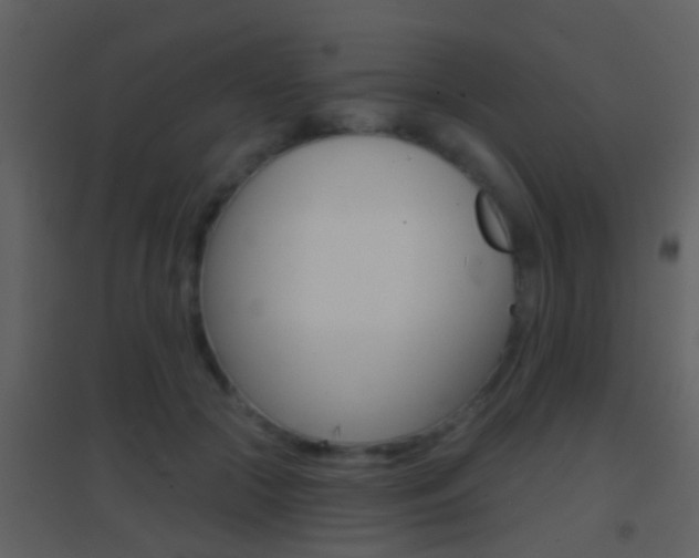 X0000095530553200712140936