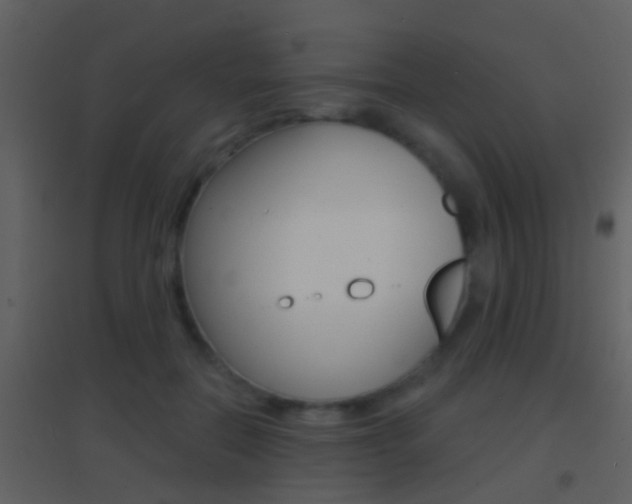 X0000095530554200712140936