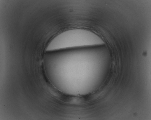 X0000095530555200712140936