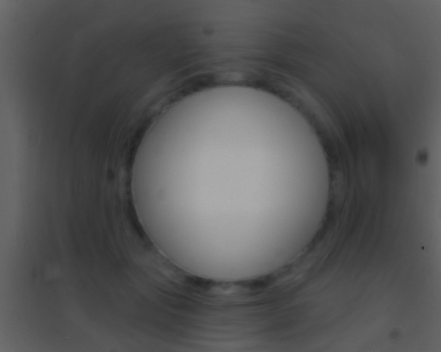X0000095530557200712140937
