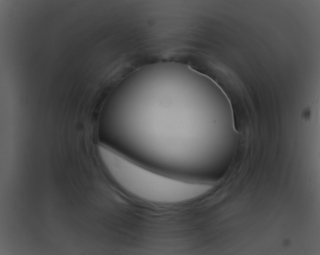 X0000095530558200712140937