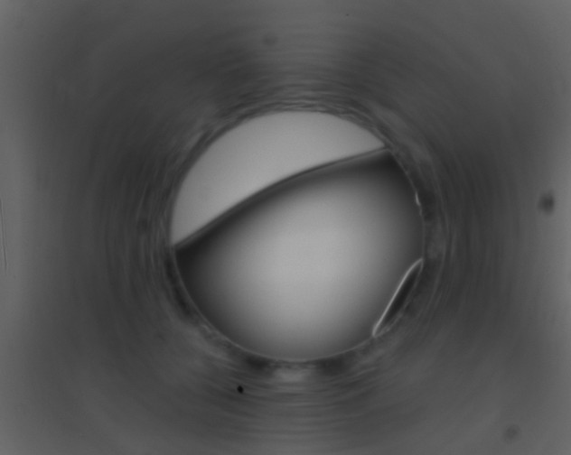 X0000095530560200712140937