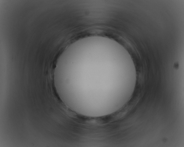 X0000095530561200712140937