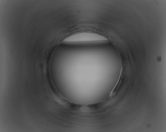 X0000095530562200712140937