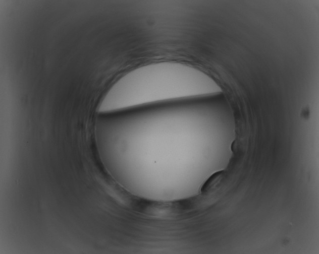 X0000095530563200712140937