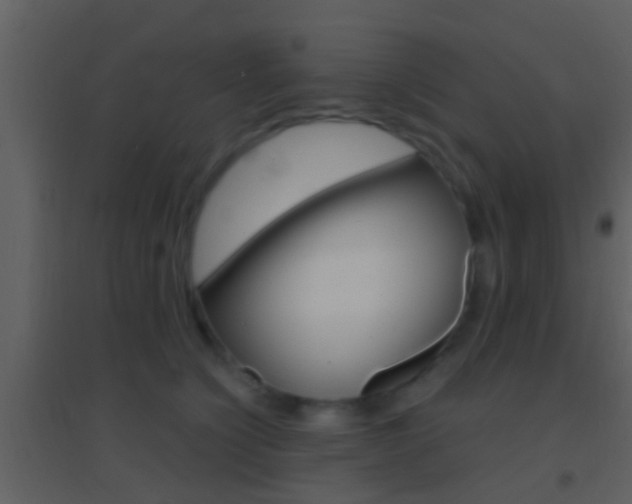 X0000095530564200712140937