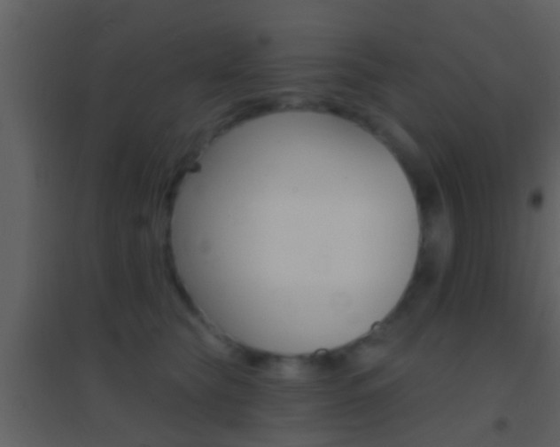 X0000095530565200712140937