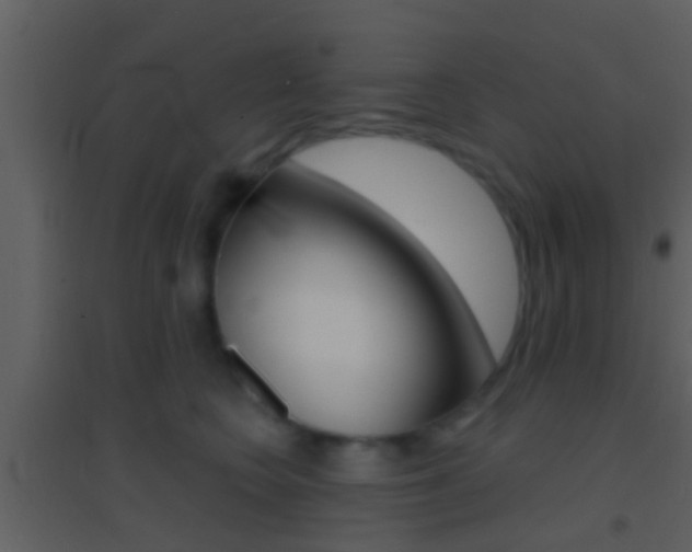 X0000095530566200712140937