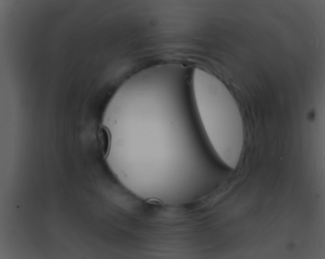 X0000095530567200712140937