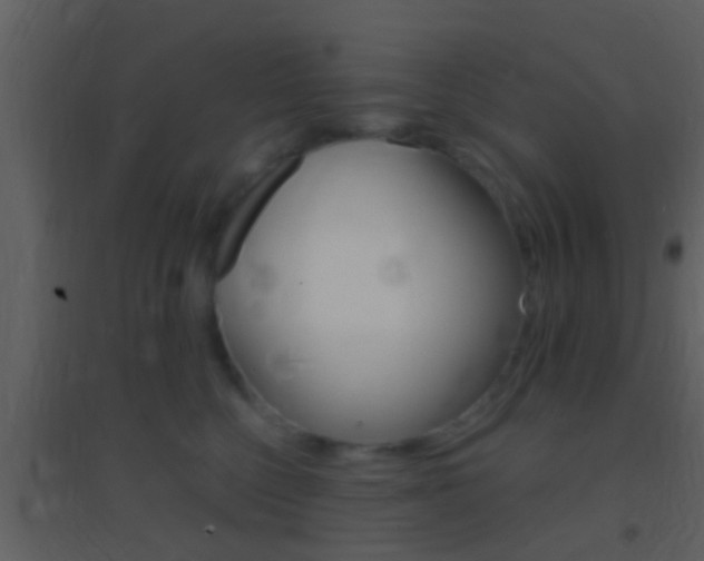 X0000095530568200712140937