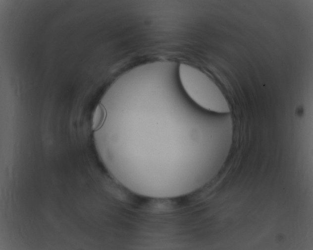 X0000095530569200712140937