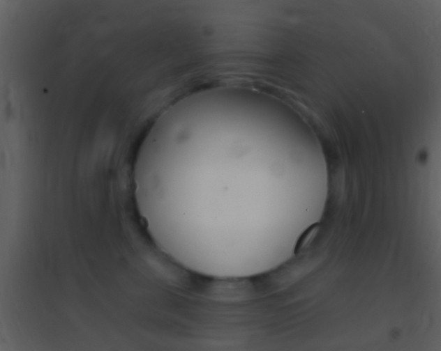 X0000095530571200712140937