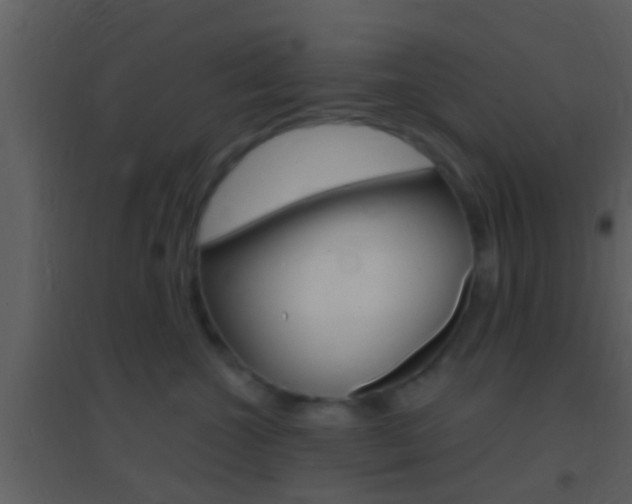 X0000095530572200712140937