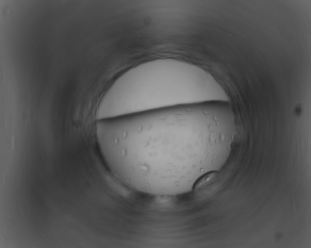 X0000095530573200712140937