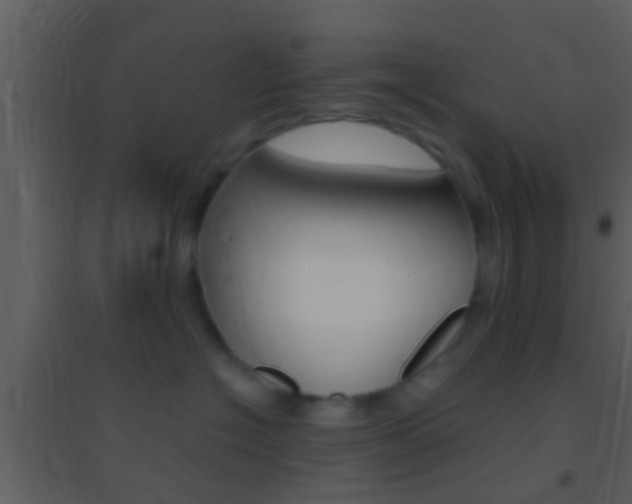 X0000095530574200712140937
