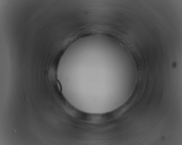 X0000095530575200712140937